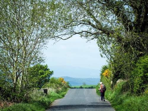 May 14, to Carrick-on-Suir
